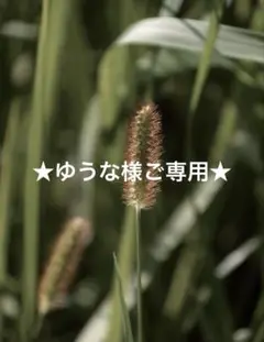 壁掛け