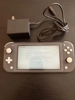 Switchライト　グレー　充電器付き