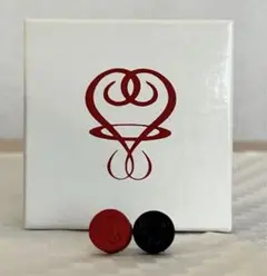 藤井フミヤ　ピアス 藤井フミヤ ピアス｜Yahoo!フリマ（旧PayPayフリマ）