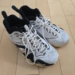 Nike Air Zoom Flight 5 バスケットボールシューズ