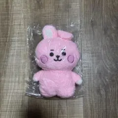 BT21 COOKY たっとんぬいぐるみ
