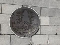 【シュシュ丸様専用ページ】コジブライトショット・クレンザー