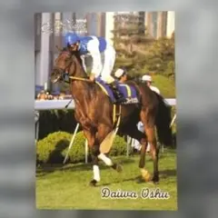 Road to the Winner、 ダイワオーシュウ 【5点300円】