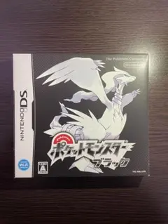 【動作確認済】DS ポケットモンスターブラック