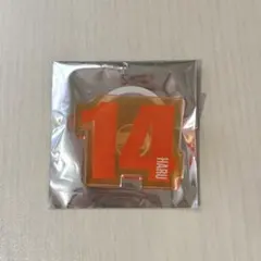 超特急 ハル ペンライトアクセサリー