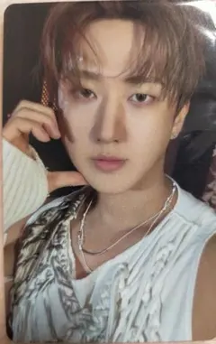 Stray kids DO IT FANS ラキドロ チャンビン トレカ スキズ