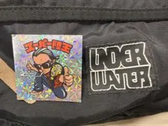 Item thumbnail for item 667c78ee-399e-46da-8079-bee6a655c570