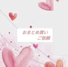 とん＆ぴー＆わん様 リクエスト 2点 まとめ商品