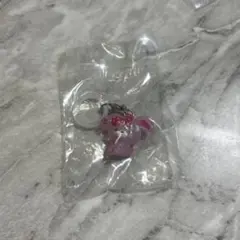 サンリオキャラクターズ　ゆるっとめじるしアクセサリー　【ぼんぼんりぼん】