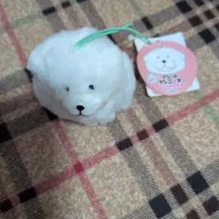 むっちりグレートピレニーズ ファニーフェイス AMUFAN