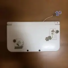 3DS