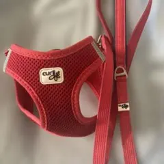 curli カーリー　犬用ハーネス&リードのサムネイル