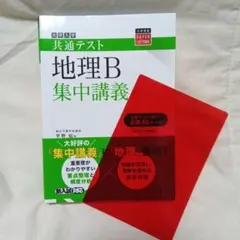 美品 大学入学共通テスト 地理B 集中講義 赤シート付き