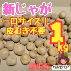 ​【農家直送・箱込み1kg】一口サイズ！煮っころがし・素揚げ用 新じゃが（男爵）のサムネイル