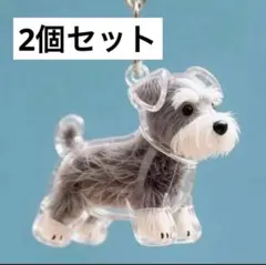 Item thumbnail for item 38371830-feda-4534-a1ea-419c245f84f8