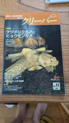 Item thumbnail for item 57e9ba19-f2dc-49bb-891b-2b414451b938