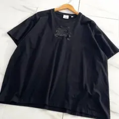 美品✨BURBERRY LONDON EKDロゴ TB ホースロゴ Tシャツのサムネイル