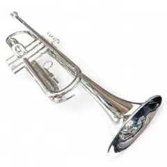 Item thumbnail for item 2dfc8d6c-d036-4dc7-9978-04e590f34d26