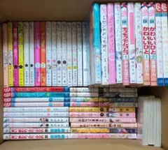 野いちご文庫 ケータイ小説文庫 大量セット 59冊まとめ売り - メルカリ