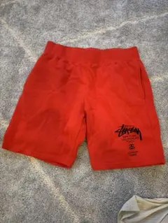 2025年最新】stussy ステューシー ショートパンツの人気アイテム