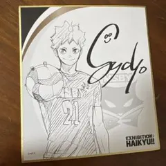 ハイキュー展　日向　翔陽　色紙コレクション