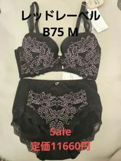 新品　トリンプ　レッドレーベル　ブラジャー　b75