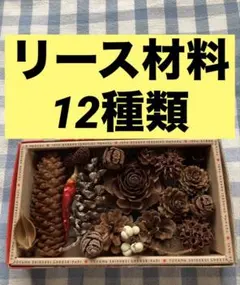 値下げ中！リース材料12種類セット・木の実いろいろまとめ売り