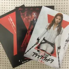 おろかもの【パンフレット・フライヤー】 2枚 クーポン可 非売品 国際toxient号外 トキシカホリック
