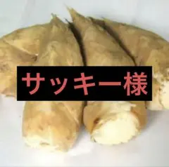 サッキー様　京都山城産　朝掘り筍訳あり3kg