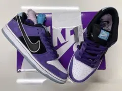 新品　Hayley Wilson × Nike SB Dunk Low Pro