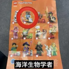 lego minifigures