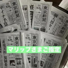マリップさまご指定★☆東京新聞☆★6日分455円☆★