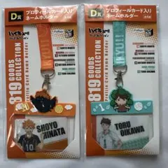 ハイキュー　みんなのくじ　プロフィールカード入りネームホルダー　日向翔陽　及川徹