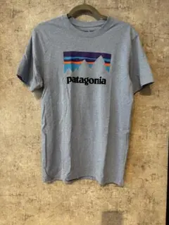 patagonia Sサイズ グレー Tシャツ