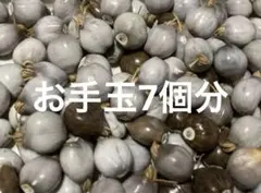 2025年最新】お手玉数珠玉の人気アイテム - メルカリ