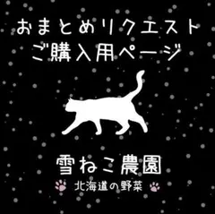 ハチ′様 リクエスト 3点 まとめ商品