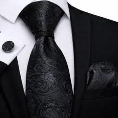 【4点セット】ネクタイペイズリーストライプ結婚式入学式卒業式黒ブラック