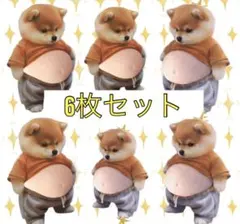 【6枚セット】おなかぷにぷにシール　 お腹　柴犬　スクイーズ　シリコン　まとめ売