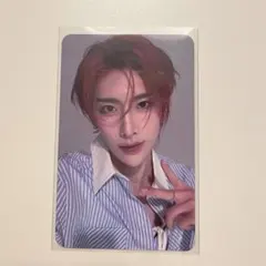 music plant ヨントン トレカ リッキー