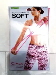 La-VIE のびーるフィットネス 　フィットネスゴム　トレーニングチューブ