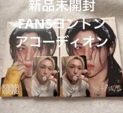 フィリックス FANS KARMA アコーディオン StrayKids