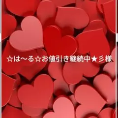 ☆は〜る☆お値引き継続中★彡様