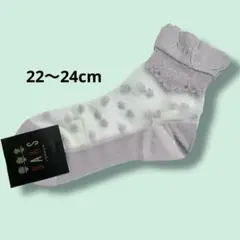 DAKS ダックス　シースルーソックス　レディース靴下　22〜24cm 春夏