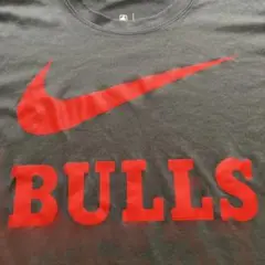 Nike Bulls DRI-FIT Tシャツ ナイキ ブルズ ゲームシャツ