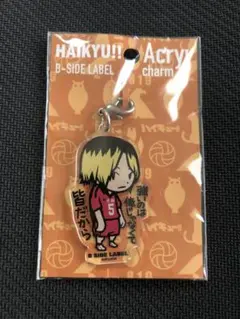 貴重　ハイキュー!! 孤爪研磨チャーム　charm