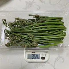 「わらび」　正味354グラム