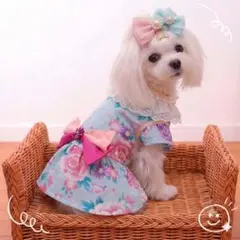 2026年最新】犬 浴衣 ハンドメイドの人気アイテム - メルカリ