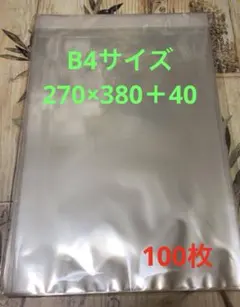 ☆MINA☆即購入OK‼︎同時購入も‼︎様 リクエスト 2点 まとめ商品