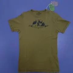 Item thumbnail for item 710f51cc-894f-4642-921f-97201ba7129f