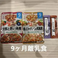 やわらか野菜の煮物・大根と豚の煮物セット 和光堂